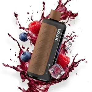 vozol gear hookah 40k berry ice disposable